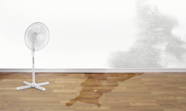 Best Wood Floor Water Damage Restoration in USA