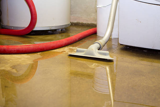 Best Carpet and Upholstery Water Damage Restoration in USA